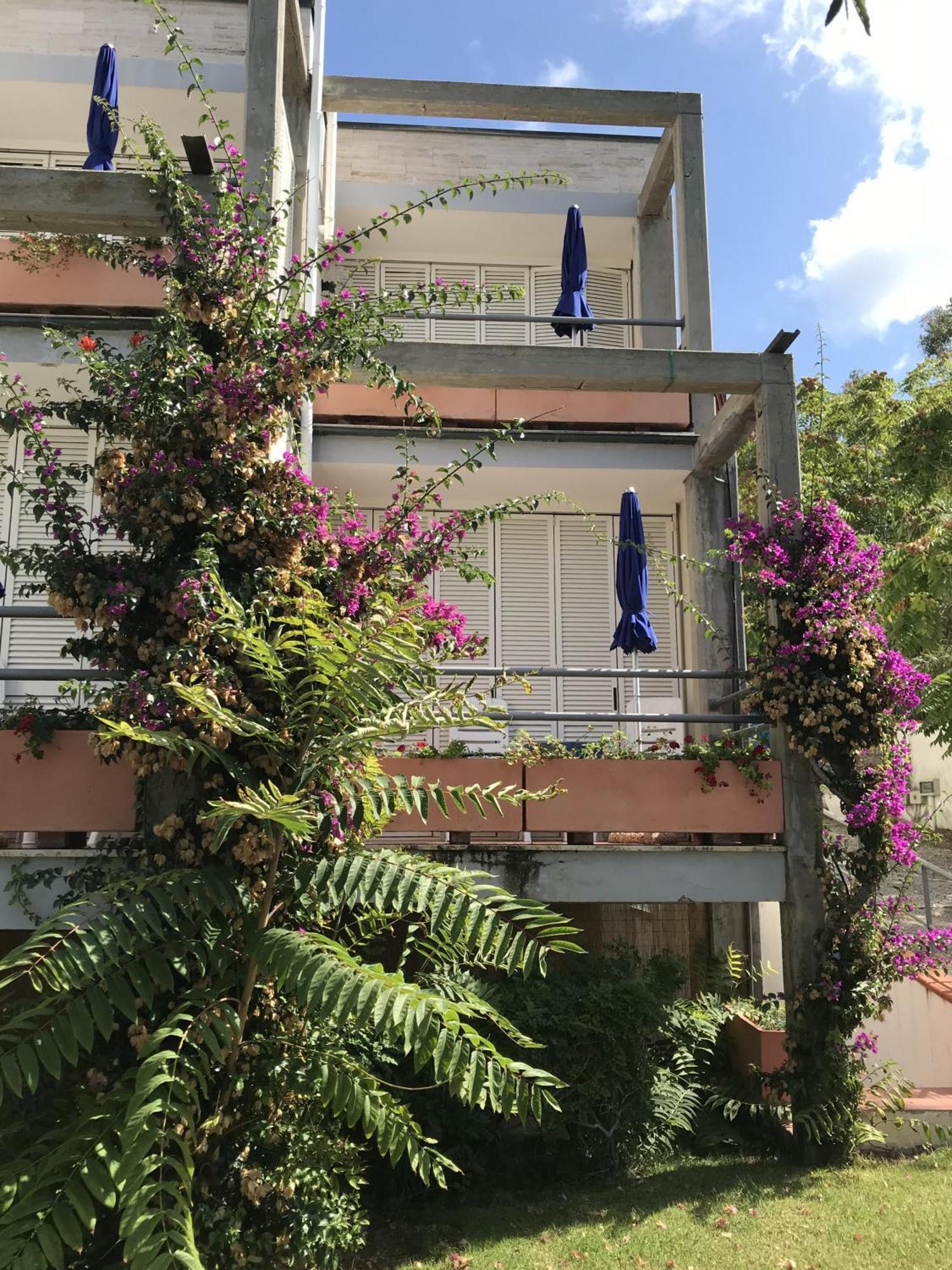 Hotel Viticcio Portoferraio Zimmer foto